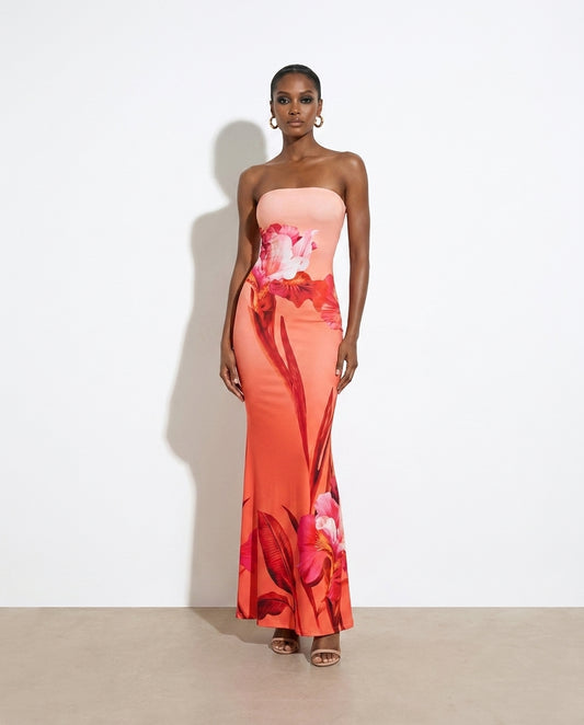 Gesine Tube Bodycon Maxi Dress — studio model